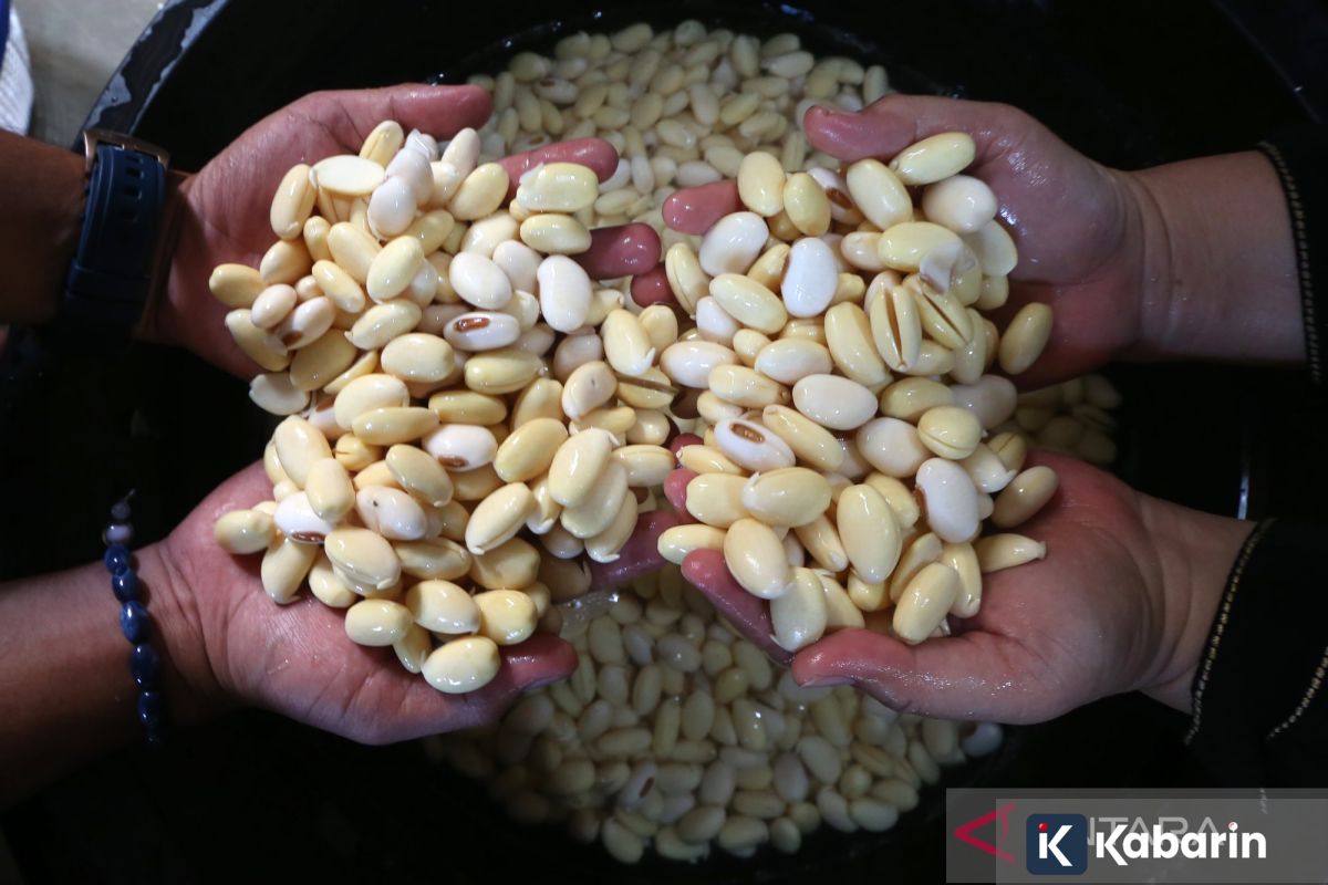 Inilah 3 sumber protein nabati alami beserta manfaatnya