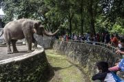 Ragunan Prediksi 40 Ribu Wisatawan Akan Datang saat Libur Tahun Baru Islam