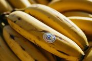 Indonesia jadi negara kedua pengguna Nano Banana teraktif dengan 18 juta gambar per hari