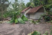 Banjir lahar Gunung Semeru: 9 rumah terendam, warga Sumberlangsep mengungsi
