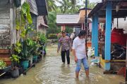 Banjir rob rendam 84 rumah di pesisir Bengkayang