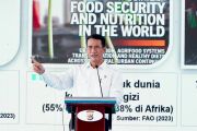 Mentan prediksi Papua bisa mandiri pangan seperti pulau lain di 2027