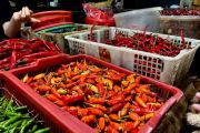 Harga Pangan Hari Ini: Cabe Rawit Rp56.800/kg, Telur Ayam Rp33.800/kg