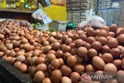 PIHPS Catat Harga Cabai Rawit Merah Rp55.000/kg dan Telur Ayam Rp31.950/kg