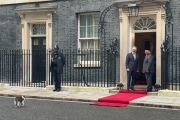 Larry the Cat Sambut Kedatangan Prabowo di Downing Street
