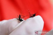 IDAI: Perubahan Iklim Tingkatkan Risiko DBD, Malaria, hingga Diare pada Anak
