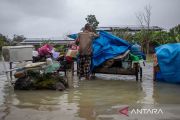 Update Banjir Grobogan: 45 Desa Tergenang, Air Capai 1 Meter