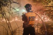 BNPB Masih Selidiki Penyebab Kebakaran Hutan di Kalimantan Utara