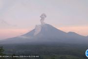 Semeru Erupsi Lagi Disertai Awan Panas Guguran Sejauh 3 Kilometer