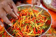 Harga Pangan Hari Ini: Cabai Rawit Rp67.650/Kg, Telur Ayam Rp31.000/Kg