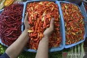 Harga Cabai Rawit Tembus Rp74 Ribu, Telur Ayam Rp41 Ribu per Kg