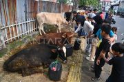 Pramono Anung Larang Pedagang Hewan Kurban Jualan di Area Publik