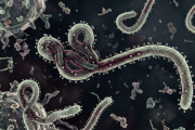 Uganda Larang Berjabat Tangan Karena Khawatir Ebola