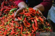Harga Bahan Pangan Hari Ini: Cabai Rawit Rp73.900/kg, Telur Ayam Rp30.850/kg
