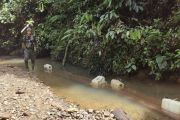Hutan Harimau Sumatera Dijarah, Kemenhut Kejar Aktor Besarnya