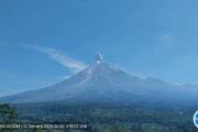 Gunung Semeru Masih Didominasi Erupsi dan Gempa Letusan
