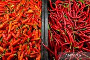Harga Pangan Hari Ini: Cabai Rawit Rp57.250/Kg, Telur Ayam Rp28.600/Kg