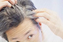 Benarkah rambut beruban bisa jadi tanda tubuh lawan kanker? Ini penjelasaanya