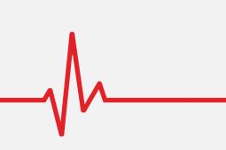 Detak Jantung Terlalu Lambat? Waspada Tanda Bahaya Bradikardia