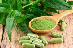 Senyawa alami pada spearmint dinilai mampu mendukung fungsi kognitif