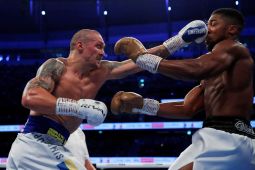 Usyk Dikabarkan Negosiasi Lawan Deontay Wilder untuk Laga Terakhir