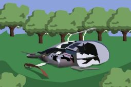 Insiden jatuhnya helikopter di sekitar Kilimanjaro Tanzania tewaskan lima orang