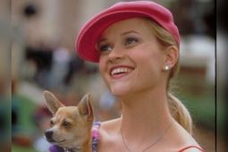 Prime Video Segera Tayangin Prekuel Film Legally Blonde "Elle" pada 1 Juli
