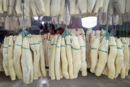 Manfaat serta efek samping tape singkong bagi kesehatan