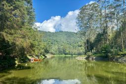 Status Gunung Wayang Dipastikan Masih Hutan Lindung