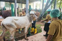 DKI Jakarta Latih 80 Juru Sembelih Halal Jelang Idul Adha 2026
