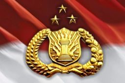 Mengapa Polri Harus Tetap di Bawah Presiden?