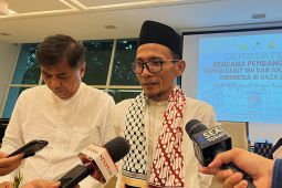 AWG Apresiasi Langkah Diplomasi RI dalam Pembebasan Aktivis Global Sumud Flotilla