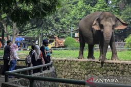 Ragunan lakukan simulasi terkait kebijakan buka di malam hari