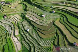 Pelajaran dari Longsor di Cisarua