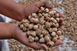 Rempah Indonesia Siap Jadi Sunrise Industry dan Sumber Devisa Baru