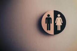 6 makanan yang ampuh untuk atasi sulit BAB atau sembelit