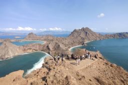 Pengunjung Taman Nasional Komodo akan dibatasi sebanyak 1000 orang per hari