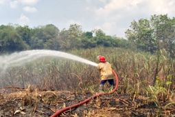 Lahan tebu seluas 3 hektare di Sragen terbakar, api berhasil dipadamkan