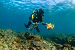 Ilmuwan temukan dua spesies baru di laut Australia