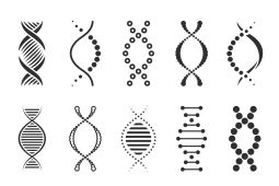 Menilik tentang metode tes DNA dan bagaimana cara kerjanya?
