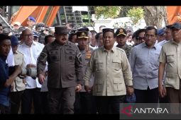 Prabowo perluas operasi nasional lawan tambang ilegal