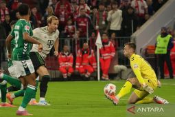 Jadwal Liga Jerman: Bayern vs Dortmund siap panaskan Der Klassiker akhir pekan ini