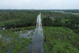 Masyarakat Adat Dayak hadapi krisis gambut dan ruang hidup akibat kelapa sawit