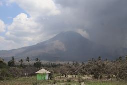 Level Gunung Lewotobi turun dari Awas ke Siaga