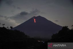 Semeru erupsi delapan kali hari ini, ketinggian letusan mencapai 800 meter