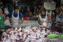 Harga Bahan Pangan Hari Ini: Cabe Rawit Rp50.115/Kg, Ayam Rp38.458/Kg