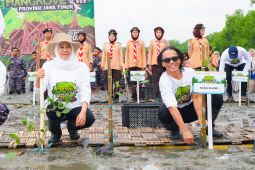 Kaka Slank ikut tanam Mangrove di Bangkalan
