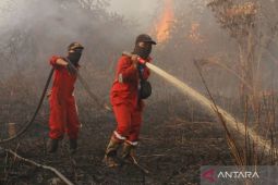 UCLA: Dampak Kebakaran Hutan LA Masih Hantui Kesehatan Warga
