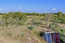Lahan Samota Rp53 miliar jadi sorotan usai muncul dugaan korupsi