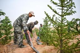 Mongolia rehabilitasi gurun seluas 4,46 juta hektare